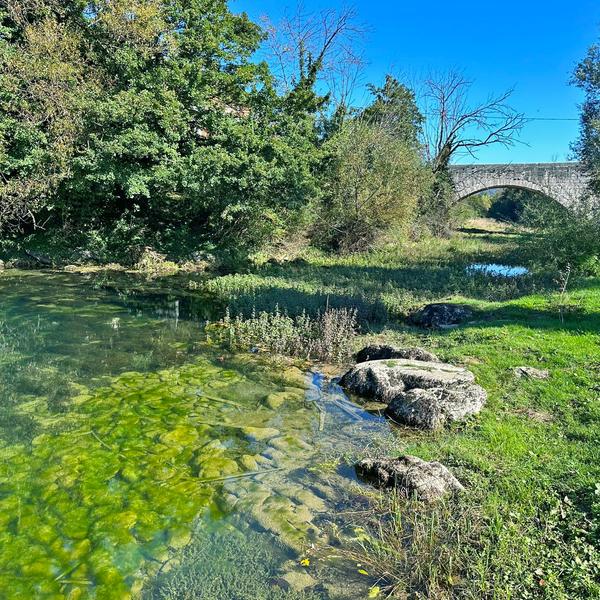 Vodeno bilje u bistroj rijeci pod kamenim mostom