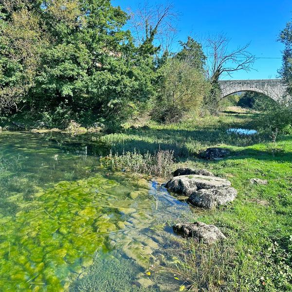 Kristalno bistra voda i kameni most