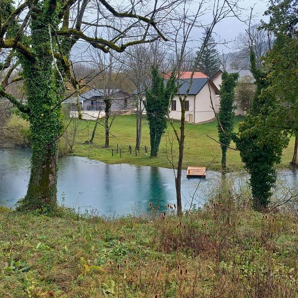 Rijeka pod stablima obraslim bršljanom, iza nje kuće