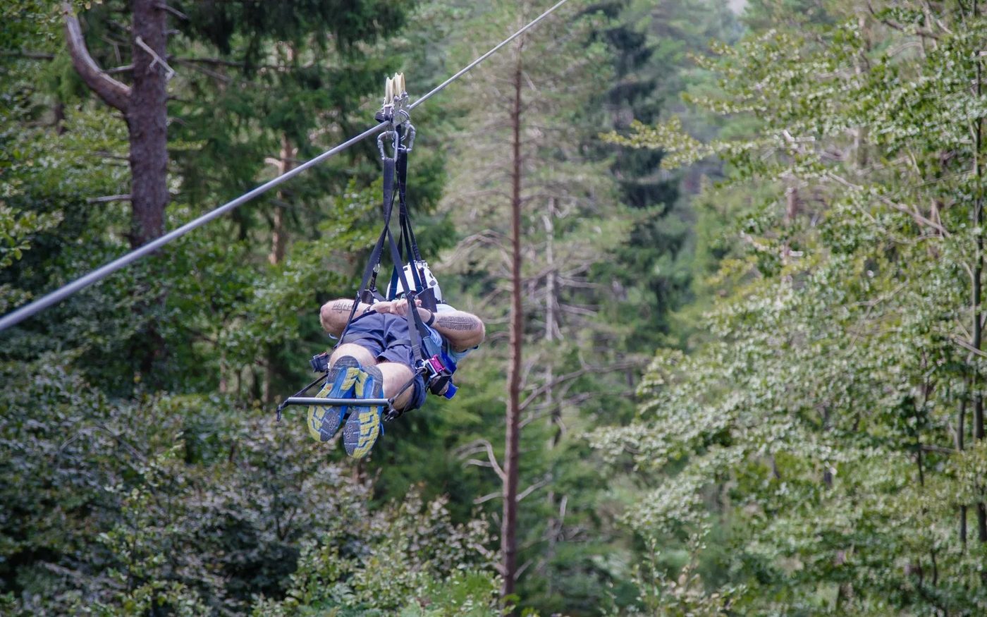 Vožnja zip lineom iznad šume